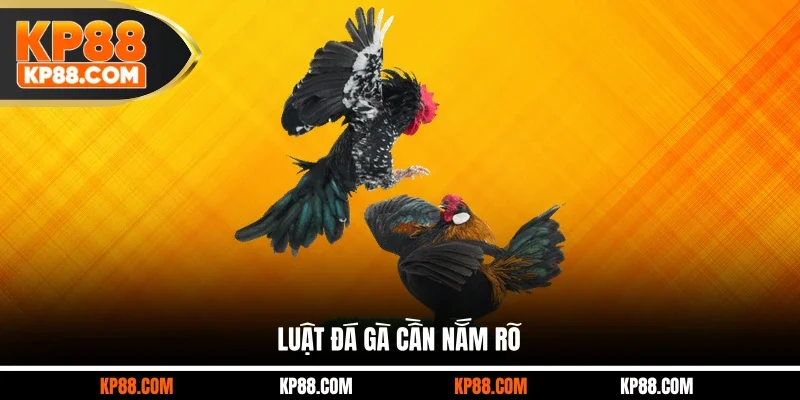 Đá Gà Casino Hôm Nay - Thế Giới Cá Cược Đặc Sắc Tại KP88 - Cavex