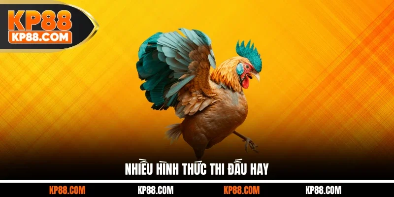 Đá Gà Casino Hôm Nay - Thế Giới Cá Cược Đặc Sắc Tại KP88 - Cavex