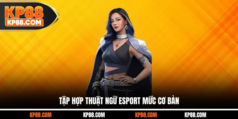 Tổng Hợp Thuật Ngữ Esport Dễ Hiểu Cho Thành Viên KP88 - Cavex