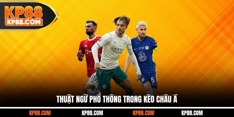 Thuật Ngữ Cá Cược Bóng Đá Chuẩn - Tổng Hợp Đầy Đủ 2026 - Cavex