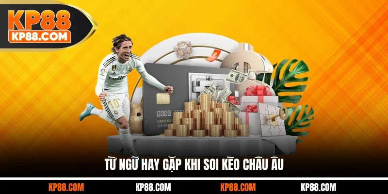 Thuật Ngữ Cá Cược Bóng Đá Chuẩn - Tổng Hợp Đầy Đủ 2026 - Cavex