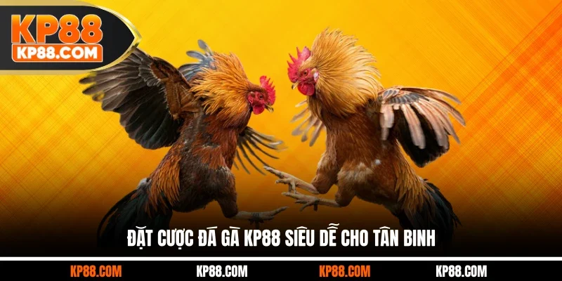 Đá Gà KP88 – Sảnh Cược Trực Tuyến Được Yêu Thích 2026 - Cavex