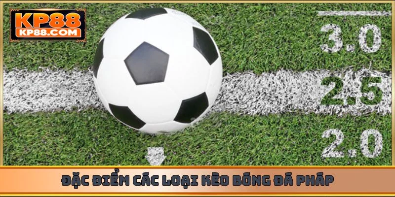 Kèo Bóng Đá Pháp - Bật Mí Cách Chọn Cửa Đặt Thông Minh - Cavex