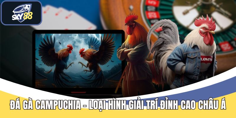 Đá Gà Tre - Luật Chơi Và Cách Theo Dõi Một Trận Đấu - Cavex