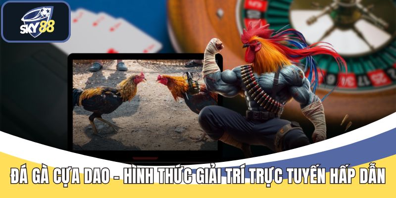 Đá Gà Nòi - Luật Chơi Và Cách Theo Dõi Trận Hiệu Quả - Cavex