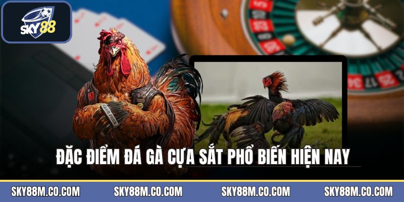 Đá Gà Cựa Sắt - Hình Thức Giải Trí Hấp Dẫn Hiện Nay - Cavex