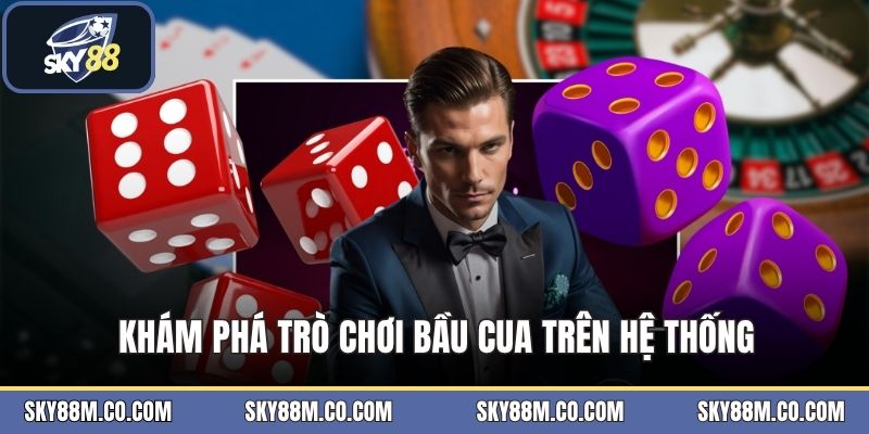 Bầu Cua - Trò Chơi Xúc Xắc Dân Gian Đầy Hấp Dẫn Nhất - Cavex