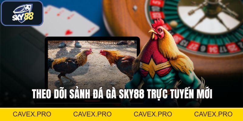 Đá Gà SKY88 - Sảnh Cược Giải Đấu Kinh Điển Tại Châu Á - Cavex
