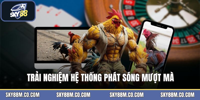 Đá Gà SKY88 - Sảnh Cược Giải Đấu Kinh Điển Tại Châu Á - Cavex