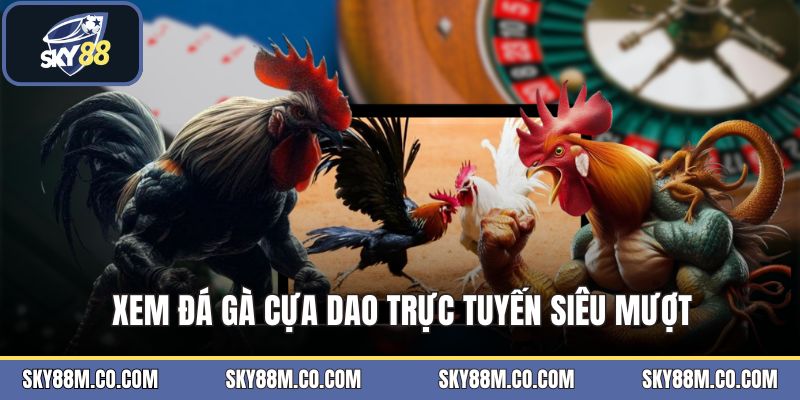 Đá Gà Cựa Dao - Hình Thức Giải Trí Trực Tuyến Hấp Dẫn - Cavex
