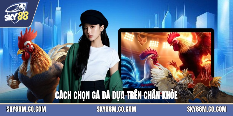 Cách Chọn Gà Đá - Tiêu Chí Nhận Biết Chiến Kê Khỏe - Cavex