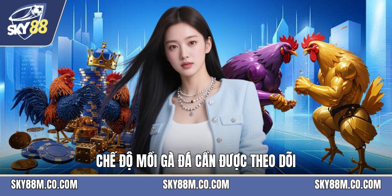 Mồi Gà Đá - Cách Chọn Thức Ăn Và Khẩu Phần Phù Hợp - Cavex