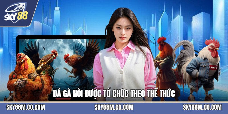 Đá Gà Nòi - Luật Chơi Và Cách Theo Dõi Trận Hiệu Quả - Cavex
