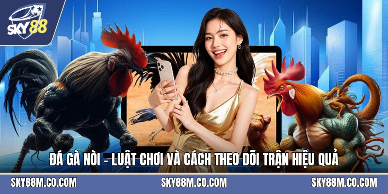 Đá Gà Nòi - Luật Chơi Và Cách Theo Dõi Trận Hiệu Quả - Cavex