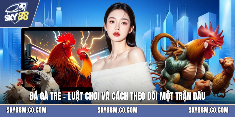 Đá Gà Tre - Luật Chơi Và Cách Theo Dõi Một Trận Đấu - Cavex