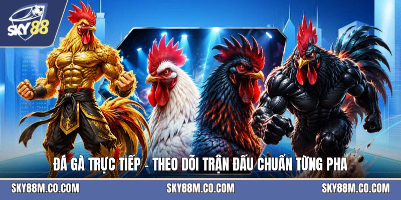 Đá Gà Nòi - Luật Chơi Và Cách Theo Dõi Trận Hiệu Quả - Cavex