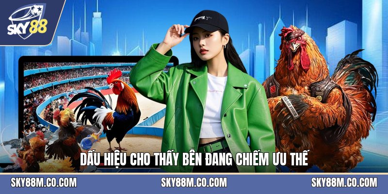Đá Gà Nòi - Luật Chơi Và Cách Theo Dõi Trận Hiệu Quả - Cavex