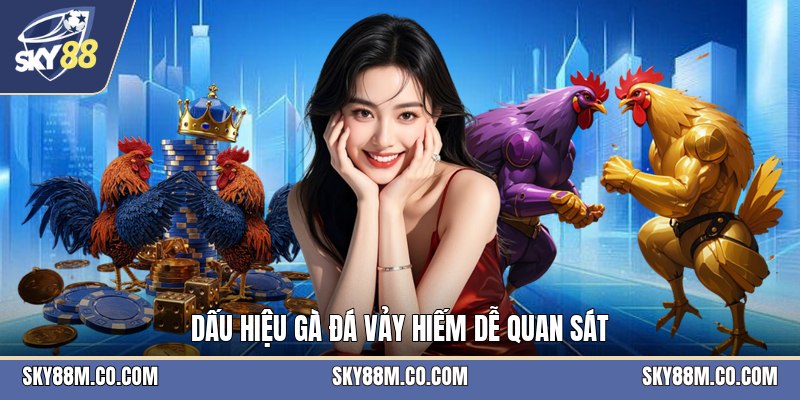 Gà Đá Vảy Hiếm - Cách Nhận Biết Và Xem Vảy Chính Xác - Cavex