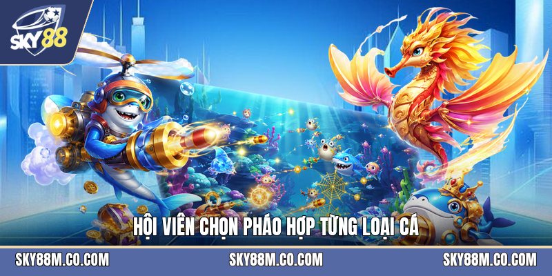 Kho Báu Long Cung - Cách Săn Cá Và Tìm Thưởng Hiệu Quả - Cavex