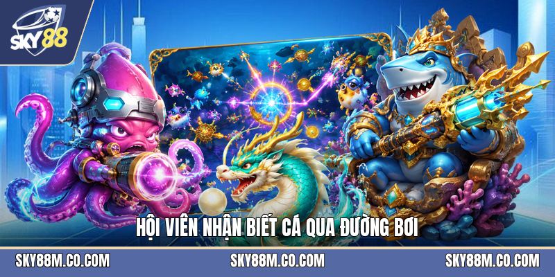 Vua Săn Cá - Trò Bắn Cá Trực Tuyến Với Luật Dễ Hiểu - Cavex