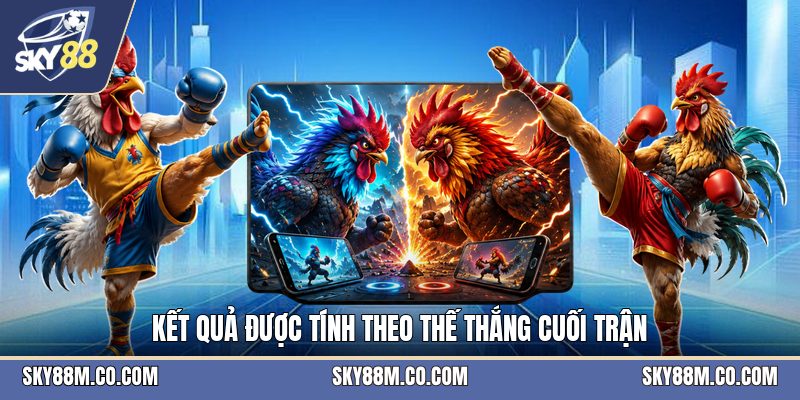 Đá Gà Tre - Luật Chơi Và Cách Theo Dõi Một Trận Đấu - Cavex