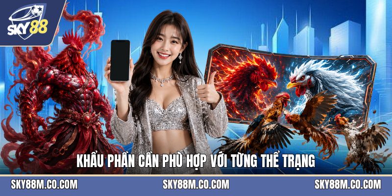 Mồi Gà Đá - Cách Chọn Thức Ăn Và Khẩu Phần Phù Hợp - Cavex