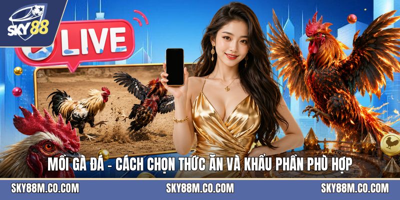 Mồi Gà Đá - Cách Chọn Thức Ăn Và Khẩu Phần Phù Hợp - Cavex