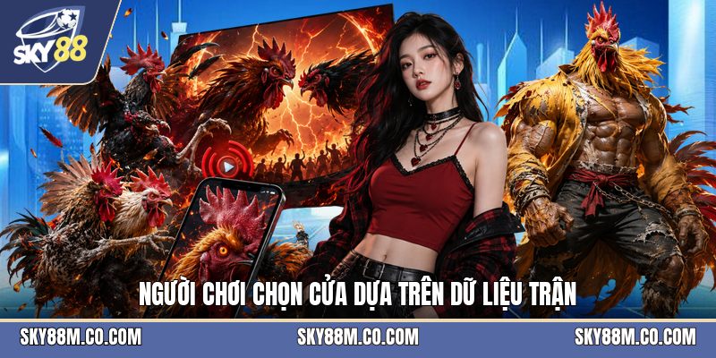 Đá Gà Tre - Luật Chơi Và Cách Theo Dõi Một Trận Đấu - Cavex