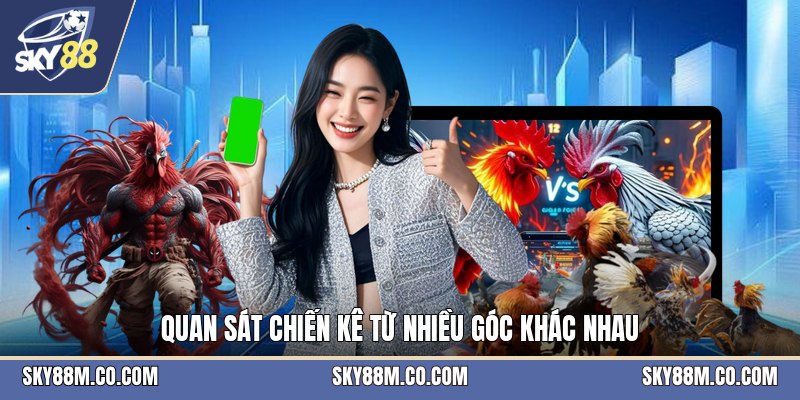 Cách Chọn Gà Đá - Tiêu Chí Nhận Biết Chiến Kê Khỏe - Cavex