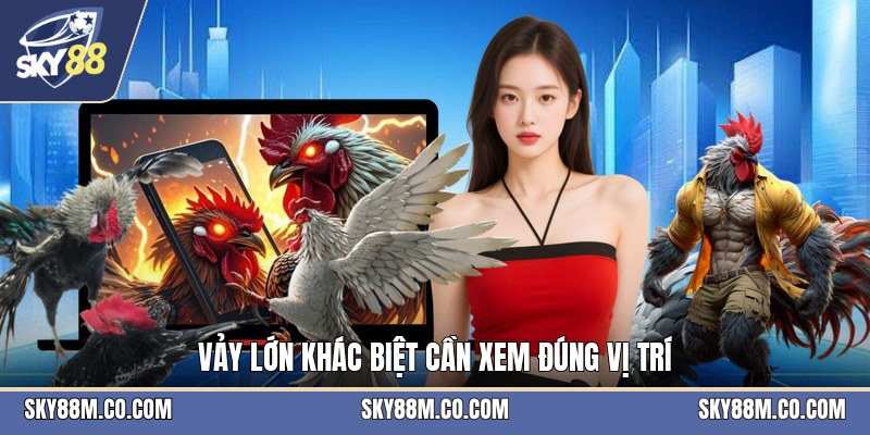 Gà Đá Vảy Hiếm - Cách Nhận Biết Và Xem Vảy Chính Xác - Cavex